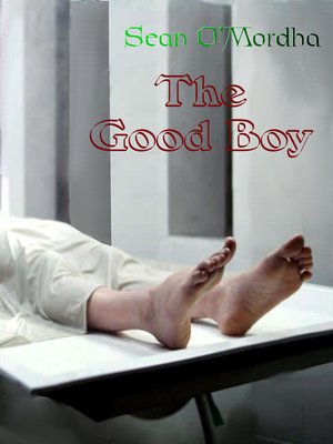 cover image of The Good Boy